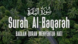 SURAH AL BAQARAH | Setan Kabur dari Rumah | Penenang Hati dan Pikiran | Erwiyanto