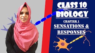 SSLC BIOLOGY||CHAPTER 1||SENSATIONS & RESPONSES||PART 1||EDU CAREER EXPERTS||