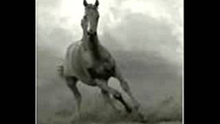 America - A Horse with No Name - 1971.