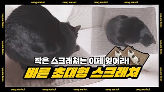 뚱냥이도 거뜬한 초대형 스크래쳐 36% 할인🎁ㅣ이때 아니면 지금 가격에 못 삽니다..ㅣ바른X스웩마켓