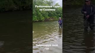 Горбуша на спиннинг. Рыбалка на самом замечательном острове #рыбалка #туризм #спиннинг #сахалин