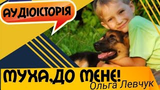 Дитяча історія. "Муха,до мене!"Аудіоісторія (Ольга Левчук)