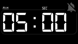 ⏰ TIMER 5 Minutes - Countdown - no Beep