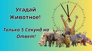 Животное за 5 Секунд: Сможешь Угадать?