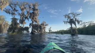 Blue Cypress Lake. Florida. March-4-2024