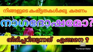 കഷ്ട്ടതകൾ കൂടുന്നു കരണം  നാഗദോഷമോ? തിരിച്ചറിയൂ. sreebhadra astrology