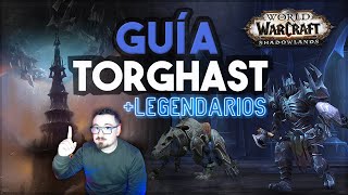 📖GUIA RÁPIDA TORGHAST + CENIZAS DE ALMA EN 2 minutos