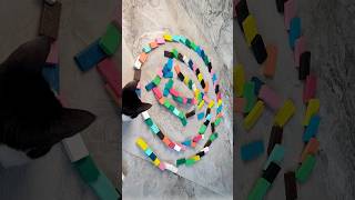 🌈😻🎉Reverse satisfied domino spiral effect, asmr dominos, domino girl, domino falling bricks 🧱