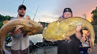 Using CUT BAIT For HUGE CATFISH!- Fall Catfish Tactics