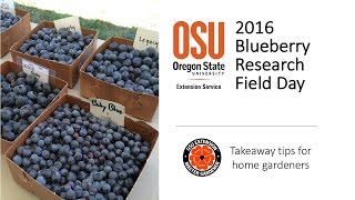 2016 OSU Blueberry Research Field Day