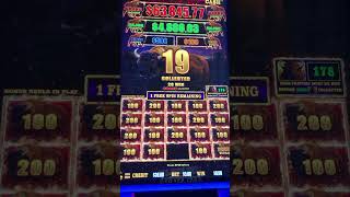 Another nice Bonus hit on Buffalo Cash Slot Machine