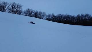 Tobogganing with Style - Theo and Henry