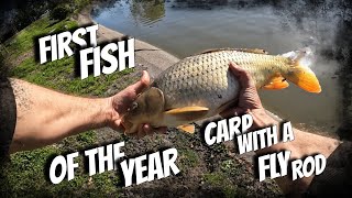 First Fish of the Year - Carp On a Fly Rod