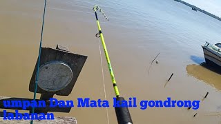 Mata pancing Dan umpan jitu || gondrong labanan memang Jos dandos😎