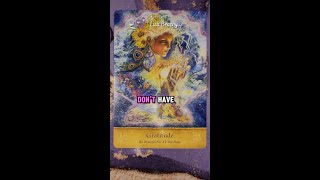 Live in Gratitude 💜 Daily Angel Message Card for Today

#angelmessages #angelcards #dailyreadin...