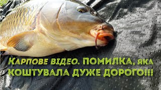 Карпове відео  Помилка, яка коштувала дуже дорого!!!