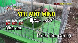 Yêu một mình - Nhạc chế bài số 20 - Tùng chùa - KARAOKE HD