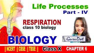 Life Processes | Human Respiratory System - Class 10 Science Biology