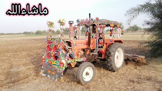 Full decorated Fiat tractor working on the 11wali cultivator performance