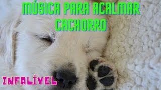 Música para acalmar cachorro. Faça o teste e comprove, eles adoram essa música para relaxar!!!