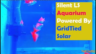 Silent LS Aquarium- Pump and Lights Powered by Grid Tied Solar.  Tamsak Tambay