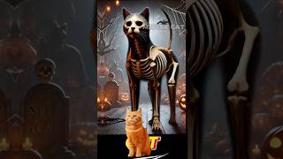 Skeleton of Animals |Funny Animals | Mister Cat