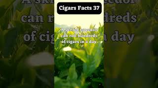 Cigars facts 37