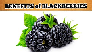 9 Impressive Health Benefits of Blackberries