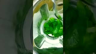 Fresh Mint Drink | Summer Drinks #food #shortyoutube #reels #summer #summerdrink #summervibes