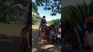 Horseback Riding in Ocho Rios