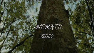 CINEMATIC VIDEO