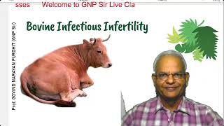 Silent Killer: How Infectious Diseases Impact Your Herd's Fertility I GNP Sir