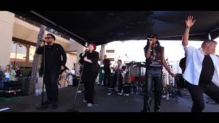 Blame It On The Boogie covered by Foreverland - San Carlos Art and Wine Faire 10-13-2024