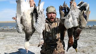 Multiple Species Duck Hunt (NORTH DAKOTA)