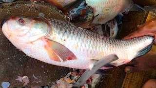 Expert Fisherman Big Rohui Fish Cutting Skills At Bangladesh Fish Market