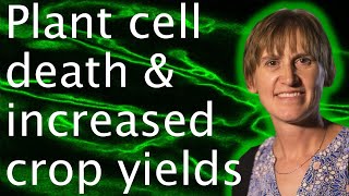 Plant cell autophagy: cell death & food security - Diane Bassham