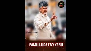 #tdp #telugudesamparty #narachandrababunaidu #naralokesh #ncbn #public #mass #leadership #trending