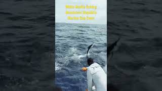 White Marlin Fishing in the Dominican Republic