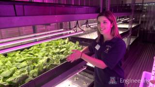 Delivering Fresh Vegetables to Food Deserts