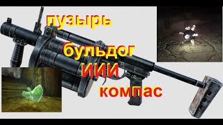 Пузырь,Бульдог-6 и Компас в S T A L K E R  Чистое небо