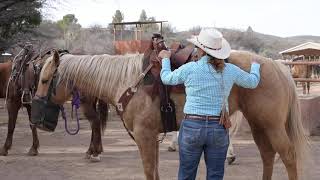 Wranglers at Circle Z