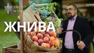 «Жнива» - Іван Губін