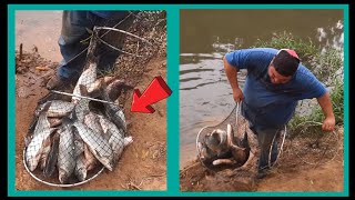 pescaria de curimba em um lugar maravilhoso  com muita ação