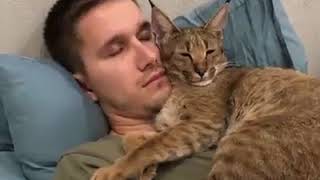 | 9GAG | Kitty sleeping with hooman