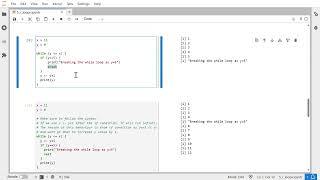 While Loop with Break and Next Statements in R #11