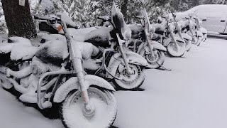 This is what you need to winterize your motorcycle. #STABIL #winterizing