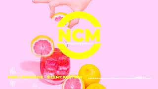 Pink Lemonade - Silent Partner [NO COPYRIGHT MUSIC] Royalty Free Music | Background Music For Vlogs