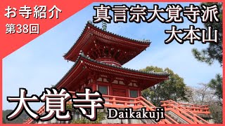 【お寺紹介38】大覚寺・京都 －真言宗大覚寺派 大本山－ 13分でお寺を案内します。