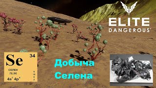 Elite Dangerous   Добыча Селена