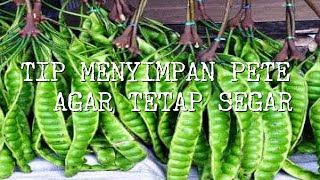 TIP MENYIMPAN PETE TETAP SEGAR